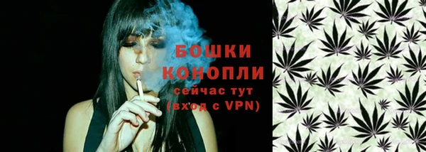 прущий лед Липки