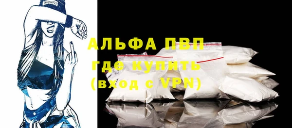 сатива Магас