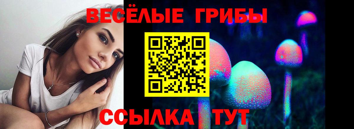 Псилоцибиновые грибы GOLDEN TEACHER Лысьва