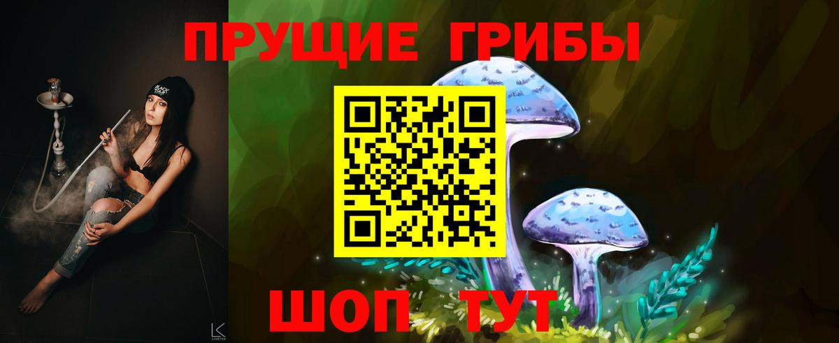 Галлюциногенные грибы прущие грибы  Псилоцибиновые грибы Cubensis  Лысьва  Вход с VPN 
